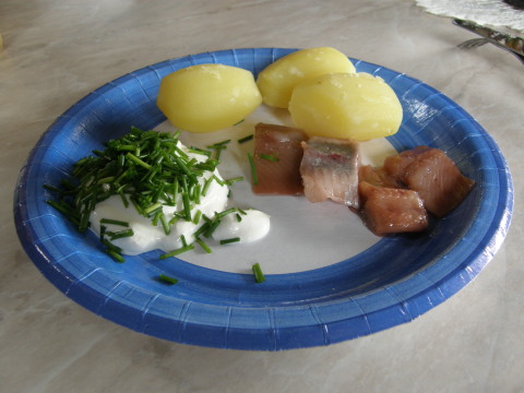 Nykokt potatis, gräddfil med gräslök och matjessill